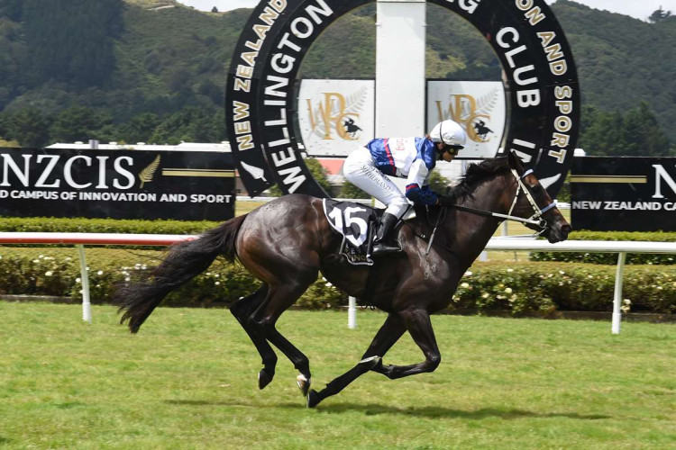 Go Racing three-year-olds bookend the weekend [Go Racing]