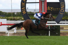 Go Racing | Margaret Jean Winning at Te Rapa