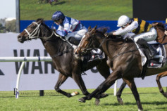 Go Racing | Nobler Winning at Rosehill Gardens
