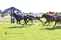 Go Racing | Duke Of Gordon Winning at Hawkesbury