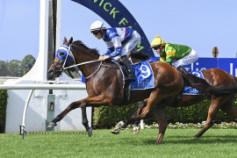 Go Racing | Tajanis Winning at Warwick Farm