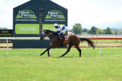 Go Racing | Barrow Boy Winning at Te Aroha