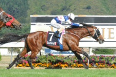 Go Racing | Passing Shot Winning at Trentham