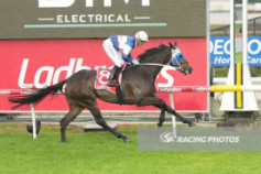 Go Racing | Flame Of Venice Winning at Cranbourne