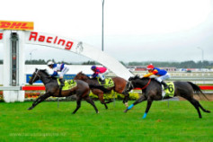 Go Racing | Pinzano Winning at Counties