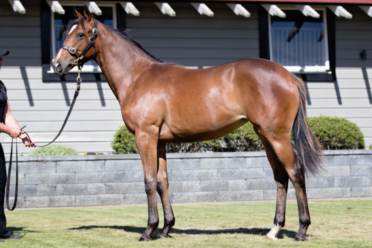 Big upgrade for Reliable Man x Symphony Rock filly