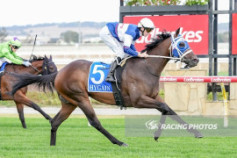 Go Racing | Hallowed Halls Winning at Pakenham