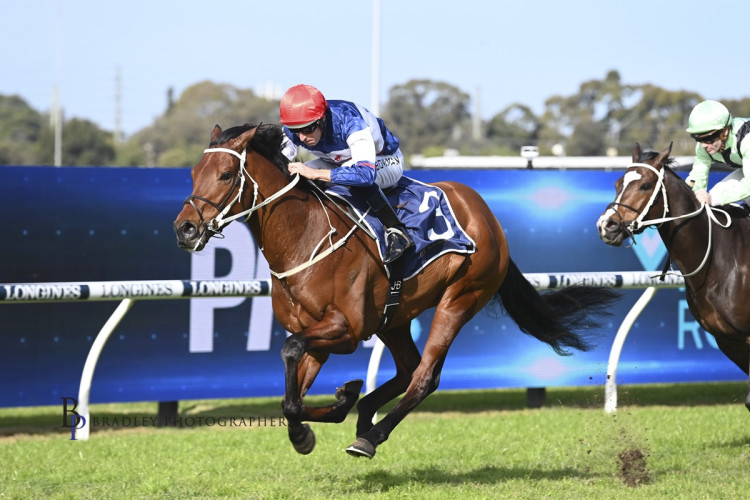 Go Racing’s bonza Aussie season continues