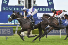 Go Racing | Wairere Falls Winning at Rosehill Gardens