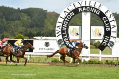 Go Racing | Seize The Moment Winning at Trentham