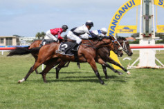 Go Racing | So Fear Winning at Wanganui