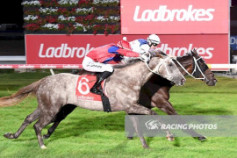 Go Racing | Rock Them Jools Winning at Cranbourne