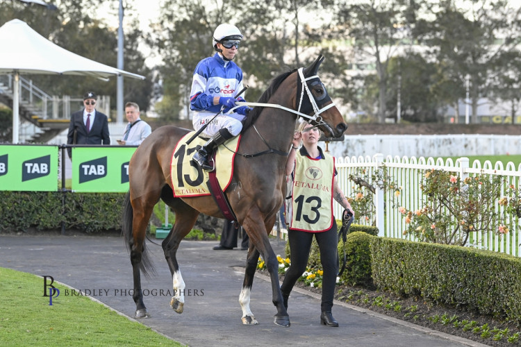 Go Racing building a strong team for autumn