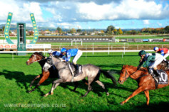Go Racing | O'Right Zen Winning at Tauranga