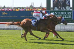 Go Racing | Whatastar Winning at Riccarton