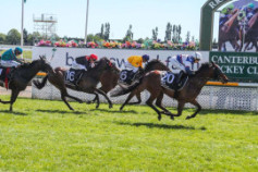 Go Racing | Running Man Winning at Riccarton