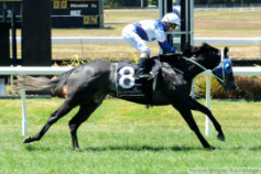 Go Racing | Ivy's Gold Winning at Rotorua
