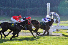 Go Racing | Pycok Flyer Winning at Oamaru