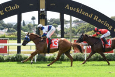 Go Racing | Quick Preview Winning at Ellerslie