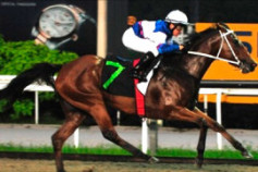 Go Racing | Stiletto Winning at Singapore