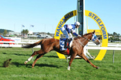 Go Racing | Taipa Tiger Winning at Wanganui