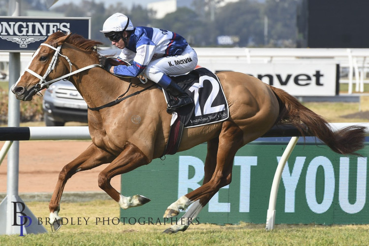 Randwick runners