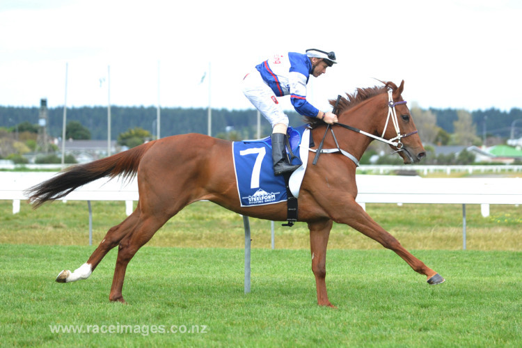 Double Happy for Guy Fawkes week