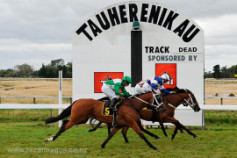 Go Racing | Saddlers Rock Winning at Tauherenikau