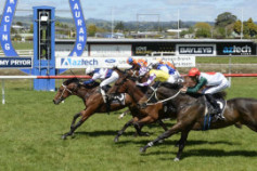 Go Racing | Lord Ardmore Winning at Tauranga