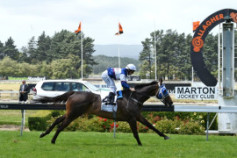 Go Racing | Thorn Pass Winning at Awapuni