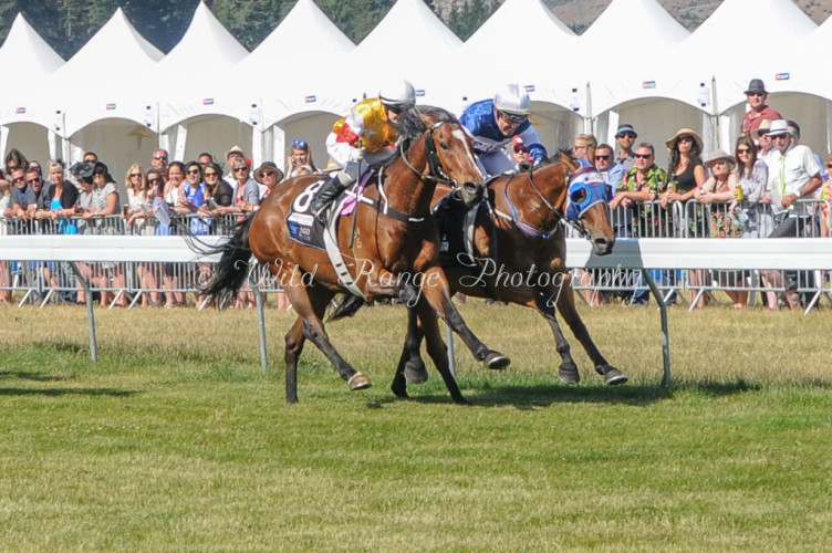 Rocking the Queenstown Cup