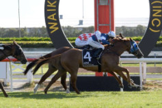 Go Racing | Quick Preview Winning at Te Rapa