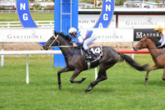 Go Racing | Sedaka Winning at Tauranga