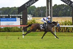 Go Racing | Miss Ella Winning at Rotorua