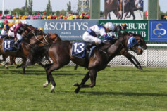 Go Racing | Pinzano Winning at Riccarton
