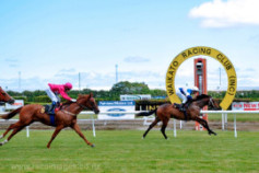 Go Racing | Prince Mambo Winning at Waikato