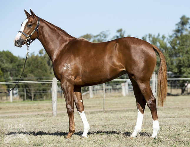 Filly magic in stormy conditions