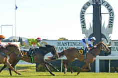 Go Racing | Dixie Express Winning at Hastings