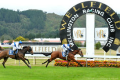 Go Racing | Passing Shot Winning at Wellington