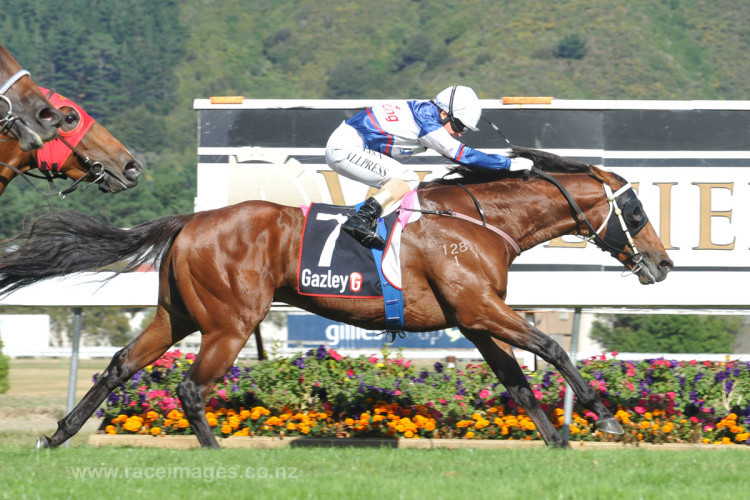 Compliments Of The Season