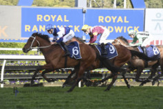 Go Racing | Lord Ardmore Winning at Royal Randwick