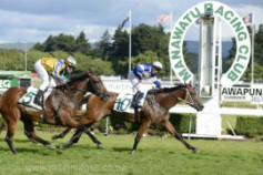 Go Racing | North and South Winning at Awapuni
