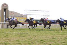 Go Racing | No Return Winning at Sydney