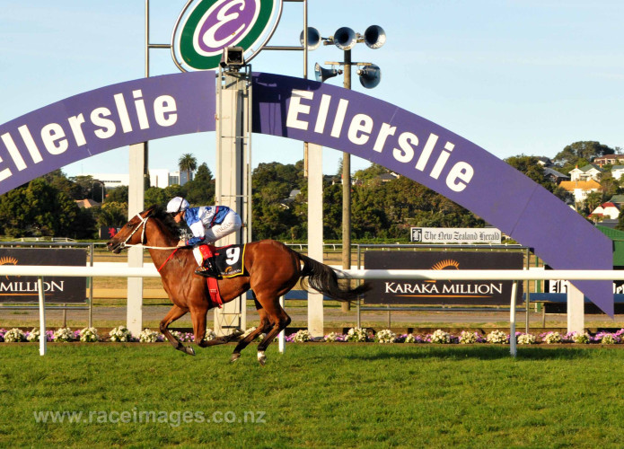 Karaka Yearling Sales are about to begin!