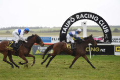 Go Racing | With Grace Winning at Taupo