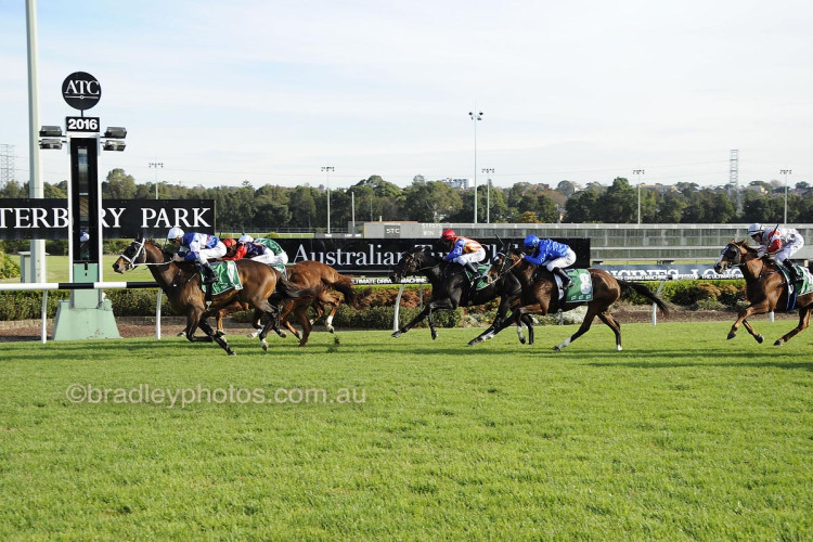 International runners fly the flag