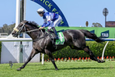 Go Racing | Sting In The Tail Winning at Warwick Farm