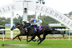 Go Racing | Ruud Not Too Winning at Ellerslie
