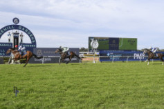 Go Racing | Lord Ardmore Winning at Rosehill Gardens