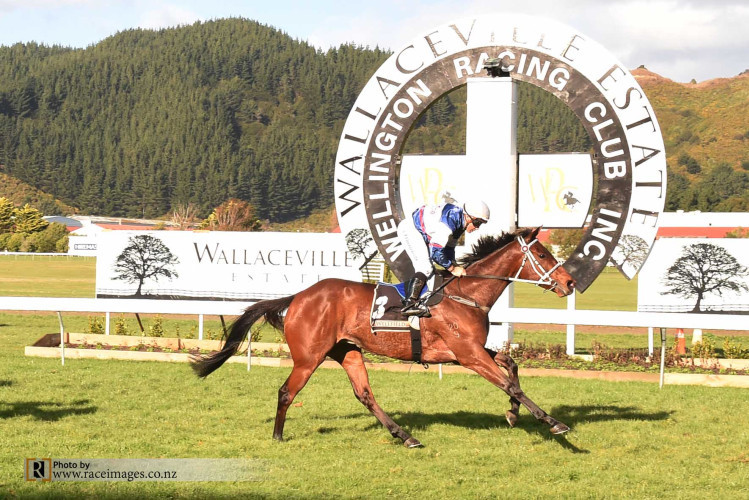 North And South spring tilt at black type